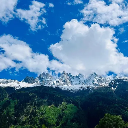 Lovely Flat & Parking In The Heart Of * Chamonix